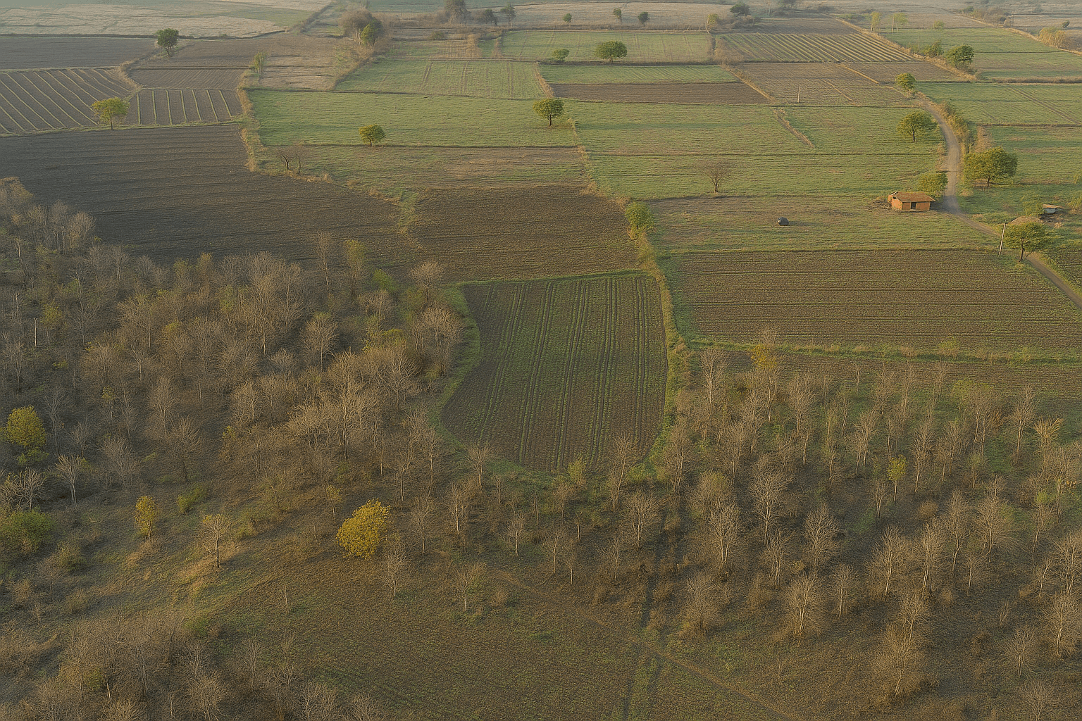 Image of 2 property